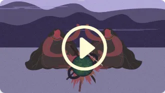 Mujer indígena y territorio