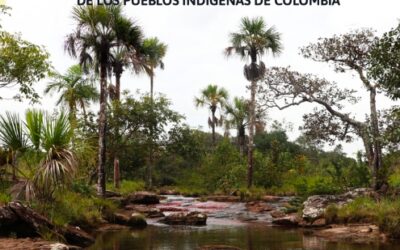 Informe Decreto Ley 4633 de 2011