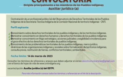 Convocatoria Auxiliar jurídico (a)