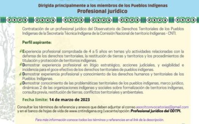 Convocatoria profesional jurídico