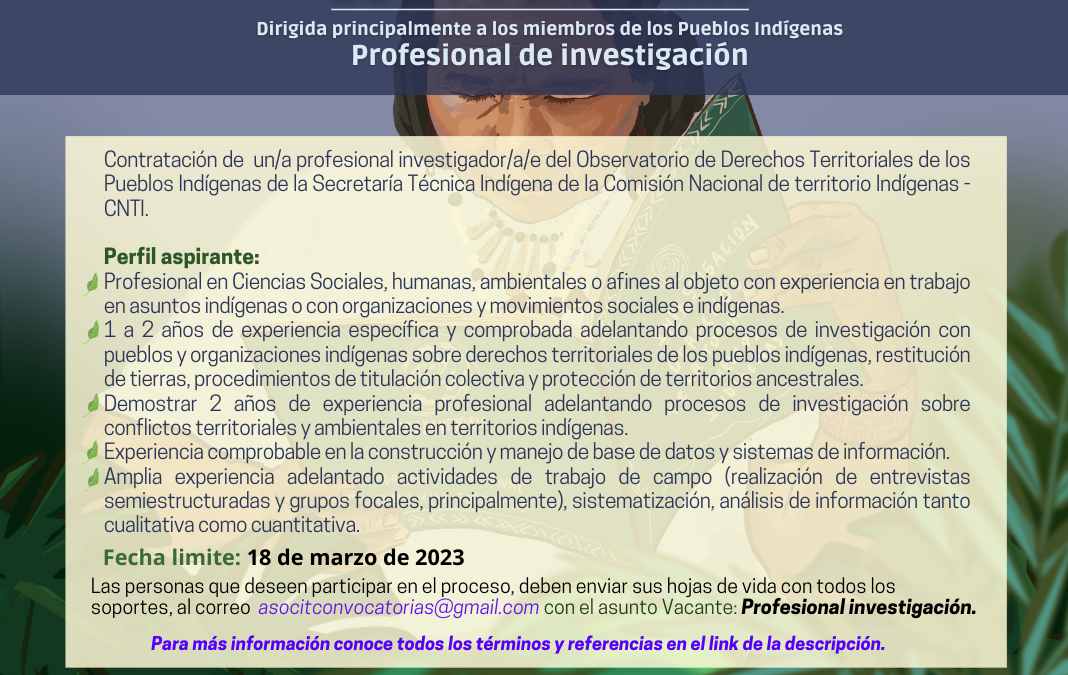Convocatoria investigador(a) CNTI