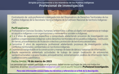 Convocatoria investigador(a) CNTI