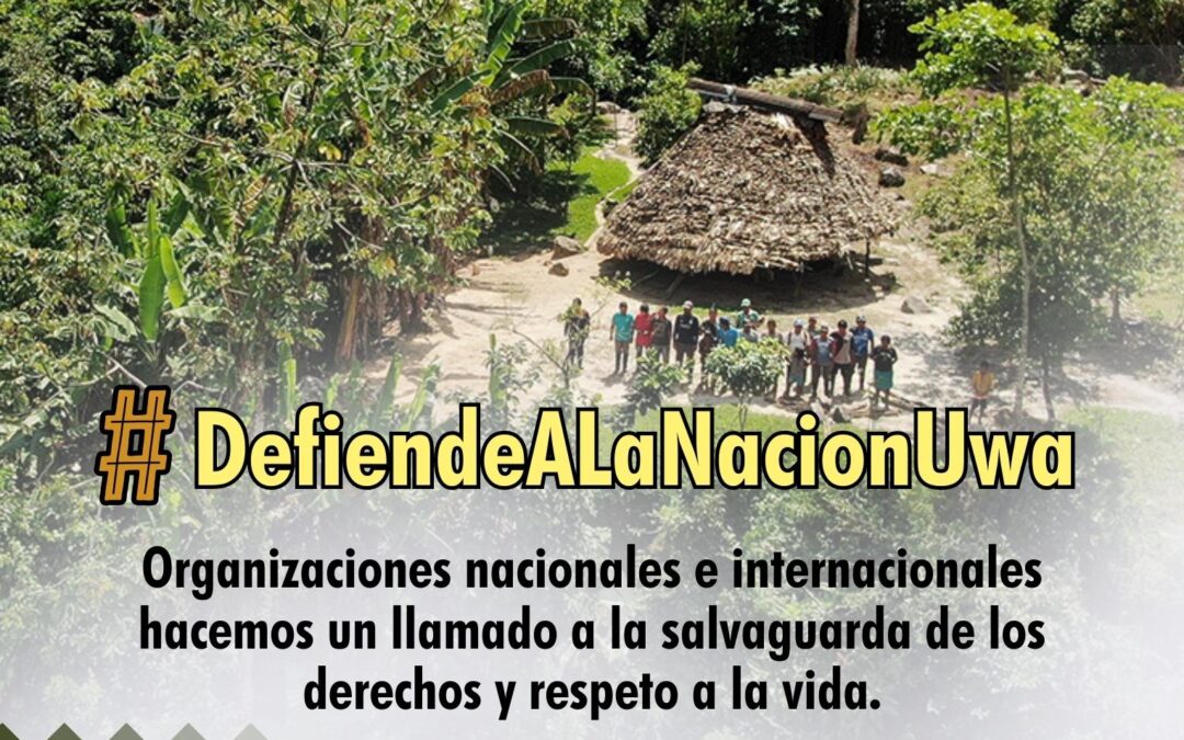 Organizaciones nacionales e internacionales hacemos un llamado a la salvaguarda de los derechos y respeto a la vida