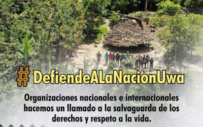 Organizaciones nacionales e internacionales hacemos un llamado a la salvaguarda de los derechos y respeto a la vida
