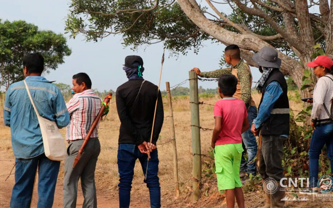 Medida cautelar que protege el territorio de las comunidades Sikuani, Sáliba y Piapoco en el Meta