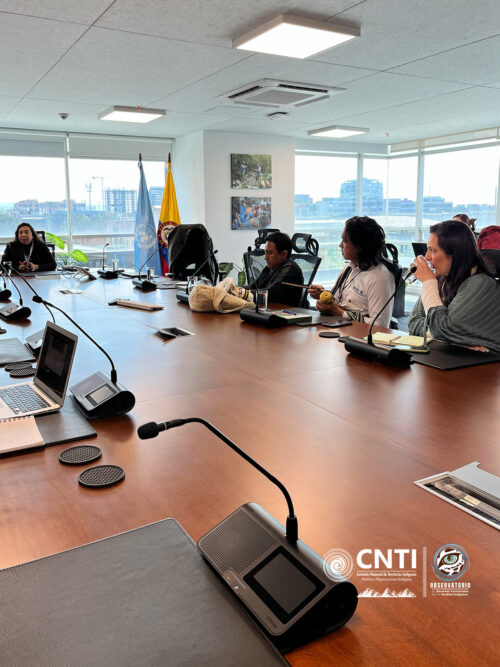 Diálogo con la Misión de Verificación de la ONU en Colombia.