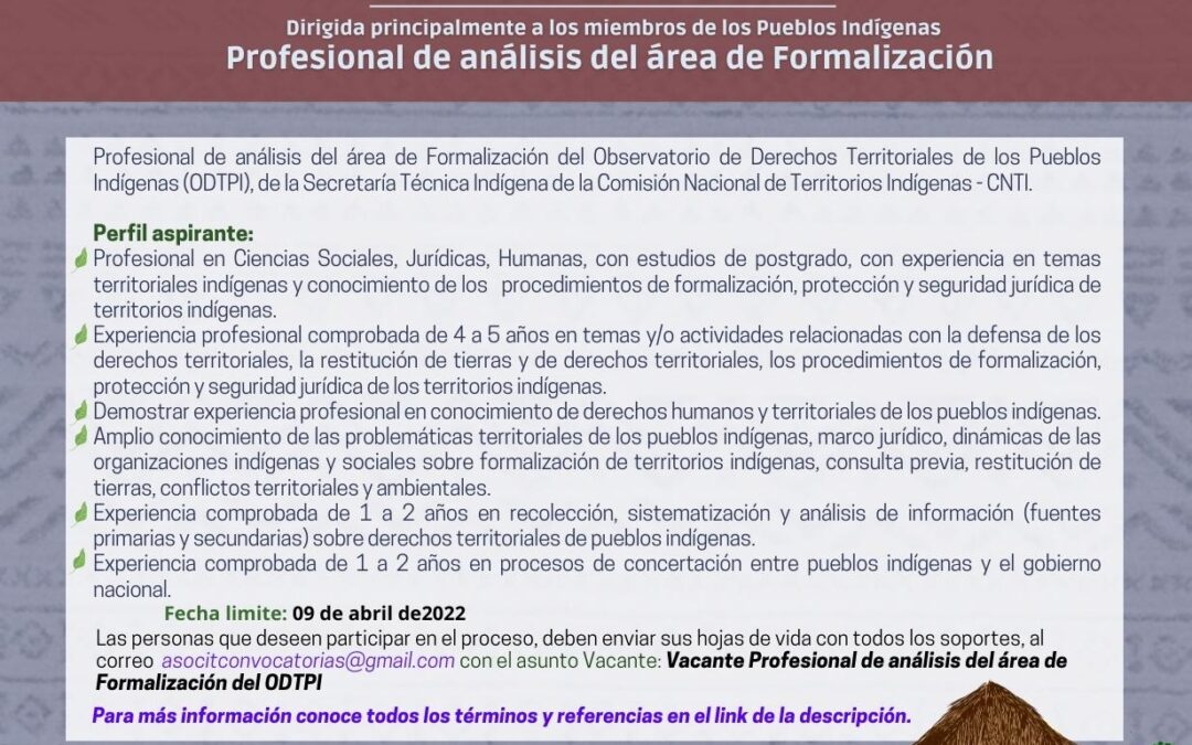 Convocatoria profesional de análisis del área de formalización