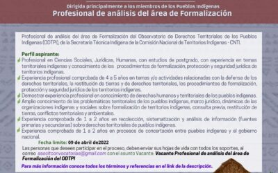 Convocatoria profesional de análisis del área de formalización