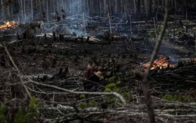 Los informes que alertan sobre la afectación a territorios indígenas en Colombia