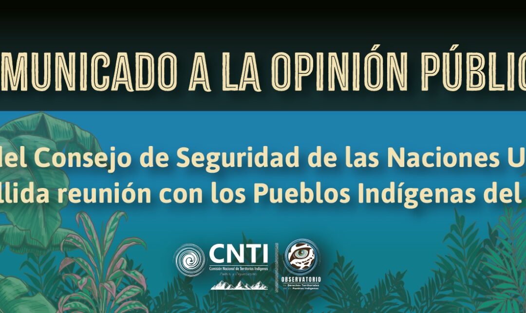 Visita del Consejo de Seguridad de las Naciones Unidas y la fallida reunión con los pueblos indígenas del País
