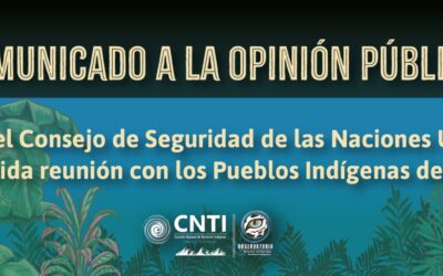 Visita del Consejo de Seguridad de las Naciones Unidas y la fallida reunión con los pueblos indígenas del País