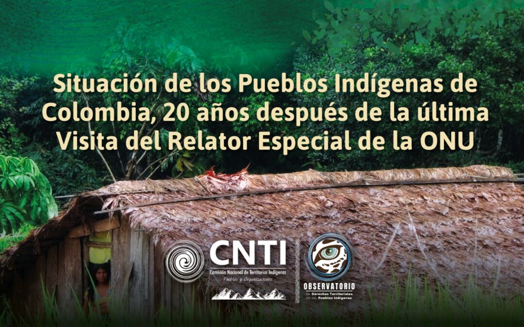 Situación de los pueblos indígenas de Colombia, 20 años después de la última visita del Relator Especial de la ONU