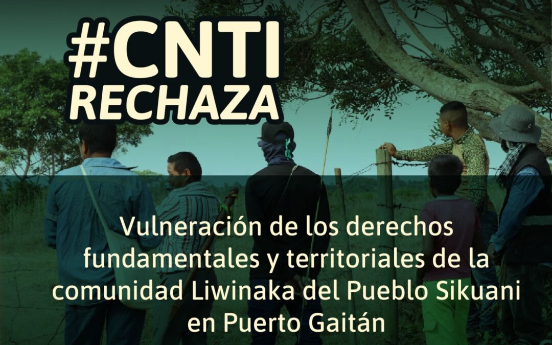 Vulneración de los derechos fundamentales y territoriales de la comunidad Liwinaka del Pueblo Sikuani en Puerto Gaitán