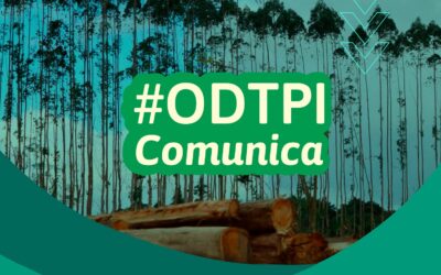 ¿Por qué los árboles transgénicos implican graves riesgos?