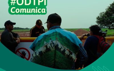 Extranjerización de la tierra: violación de los derechos territoriales del pueblo Sikuani en la Altillanura