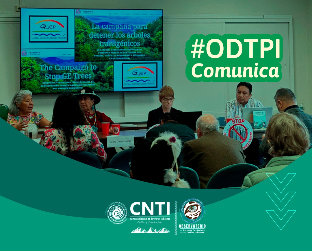 arboles transgenicos