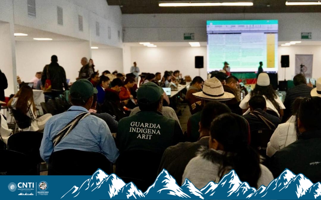 Los pueblos y las organizaciones indígenas exigimos al Gobierno Nacional garantías presupuestales que aseguren la progresividad en el reconocimiento y la protección jurídica de nuestros derechos territoriales