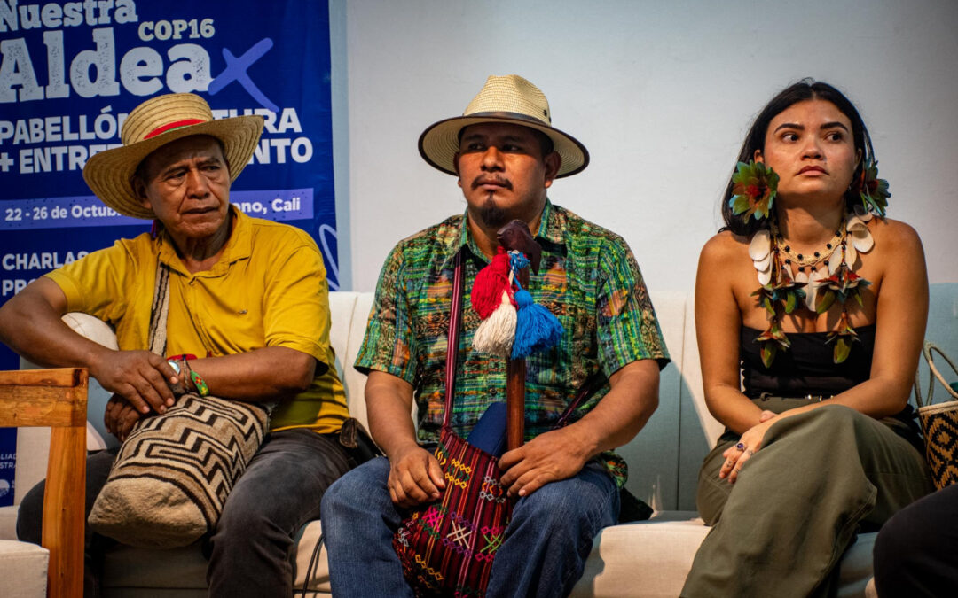 Extractivismo en los territorios indígenas