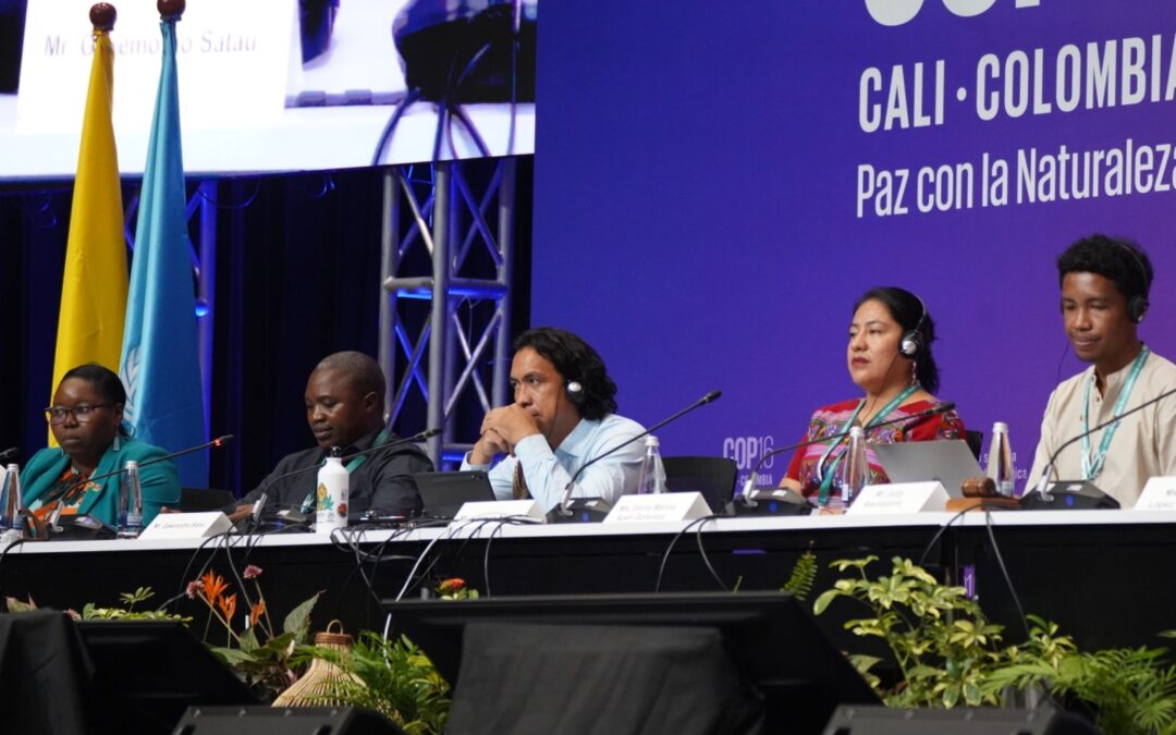 Pueblos indígenas hicieron un llamado a los gobiernos retomar el camino de la vida y la paz