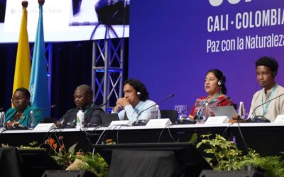 Pueblos indígenas hicieron un llamado a los gobiernos retomar el camino de la vida y la paz