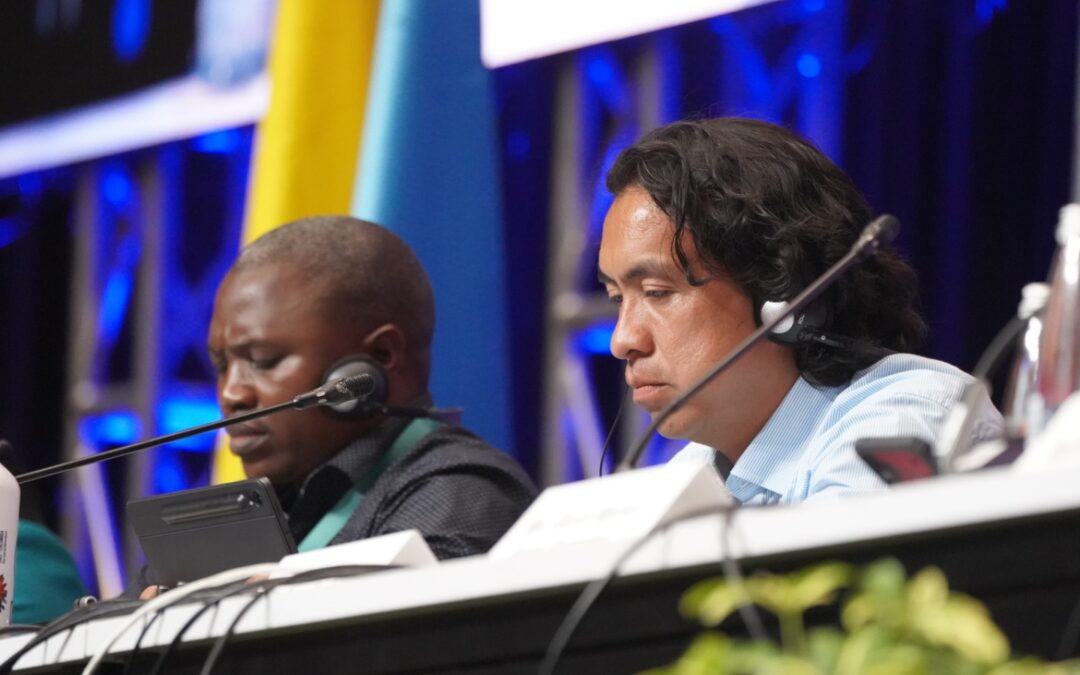 La STI participó en la Cumbre Naturaleza y Cultura y recalcó la importancia de los derechos territoriales