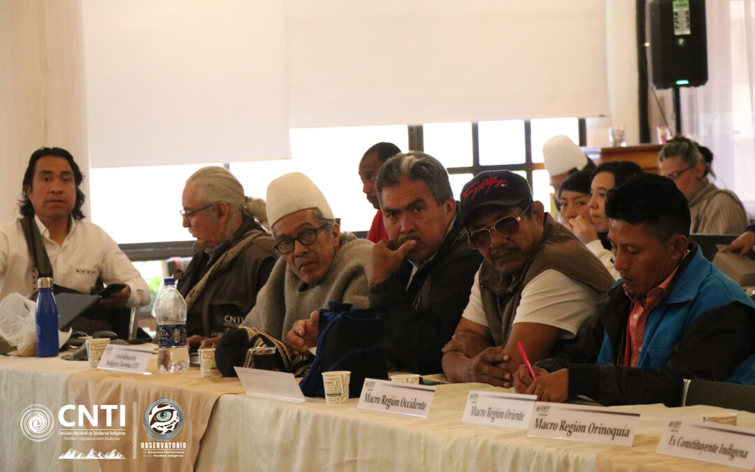 Pronunciamiento político de las organizaciones y pueblos indígenas que hacen parte de la CNTI en la exigencia de garantía y goce efectivo de nuestros derechos territoriales