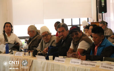 Pronunciamiento político de las organizaciones y pueblos indígenas que hacen parte de la CNTI en la exigencia de garantía y goce efectivo de nuestros derechos territoriales
