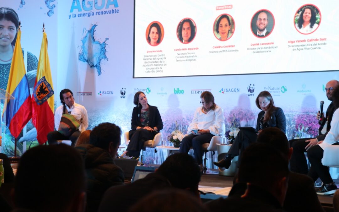 La STI de la CNTI participó en el Encuentro Nacional del Agua y la Energía Renovable