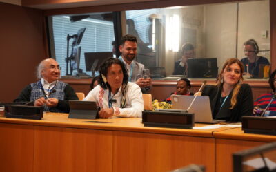 Líderes indígenas se reunieron en la ONU para exigir justicia territorial en el centro de la transición justa