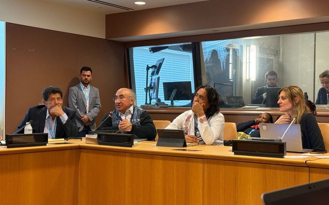 Pueblos indígenas del mundo debaten sobre la libre determinación en la ONU