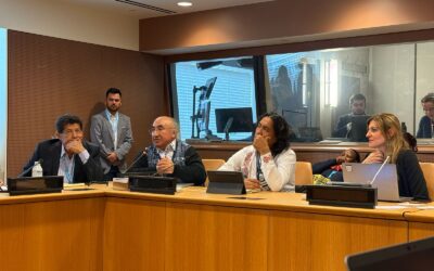 Pueblos indígenas del mundo debaten sobre la libre determinación en la ONU