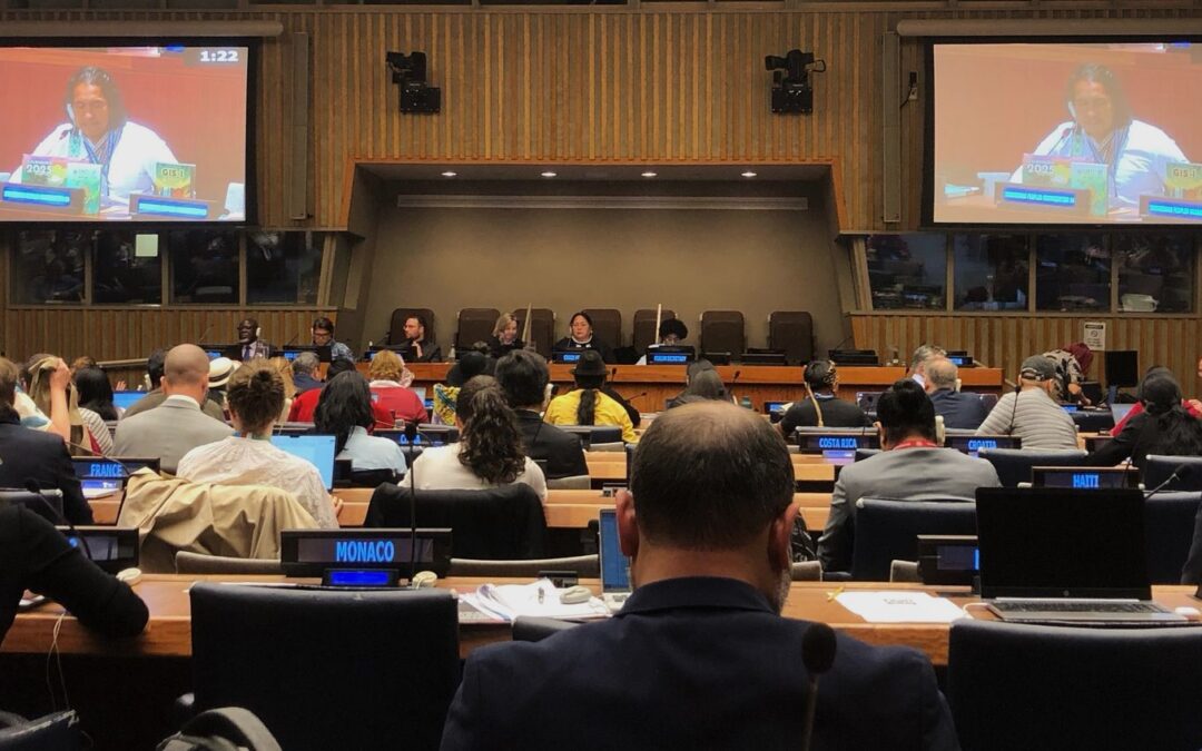 Derechos de los pueblos indígenas en el contexto de los minerales esenciales para garantizar una transición justa