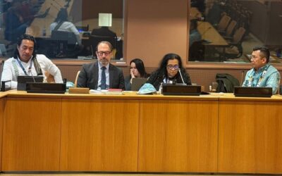Diálogo en Naciones Unidas urge acelerar la implementación del Capítulo Étnico del Acuerdo de Paz en Colombia