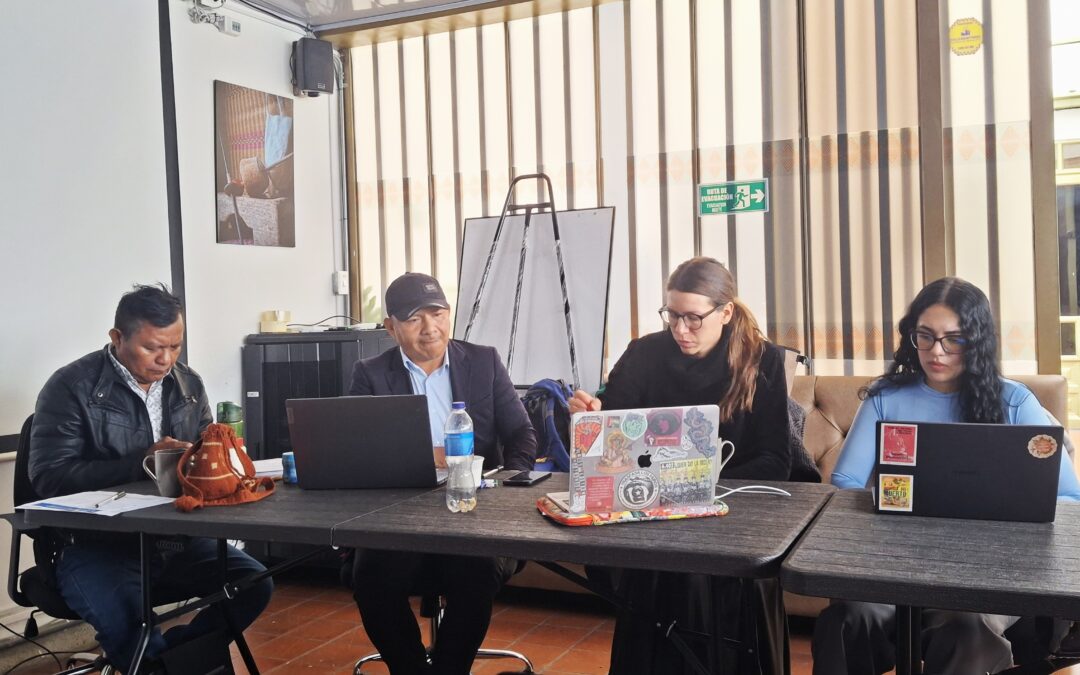 Seguimiento para el cumplimiento de la garantía de los derechos fundamentales de la comunidad indígena Je´ruriwa Yucuna