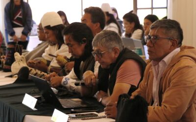 Alertas en el marco del desarrollo de la Primera Sesión Mixta de la CNTI – 2025