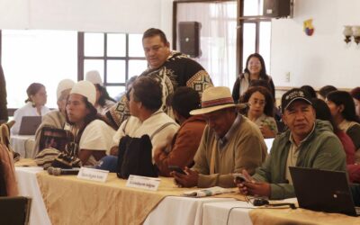 La falta de información es una vulneración a nuestros derechos fundamentales