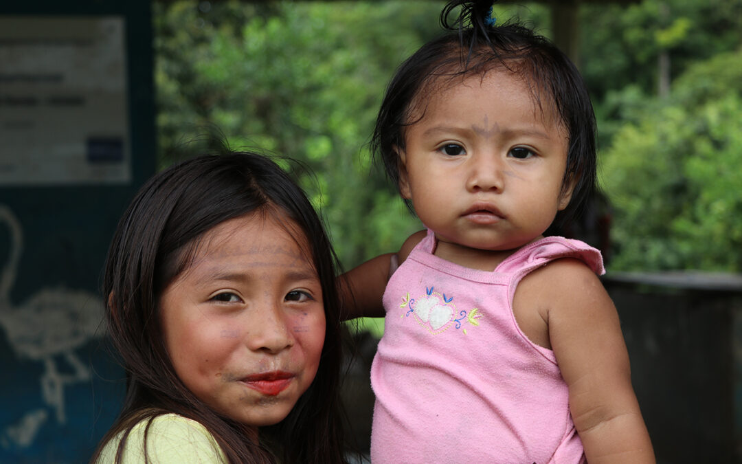 26 de agosto Día Nacional de la Niñez Indígena