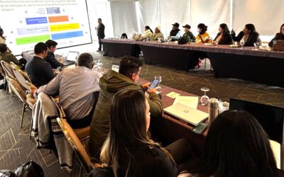 Brechas en la formalización de los territorios indígenas