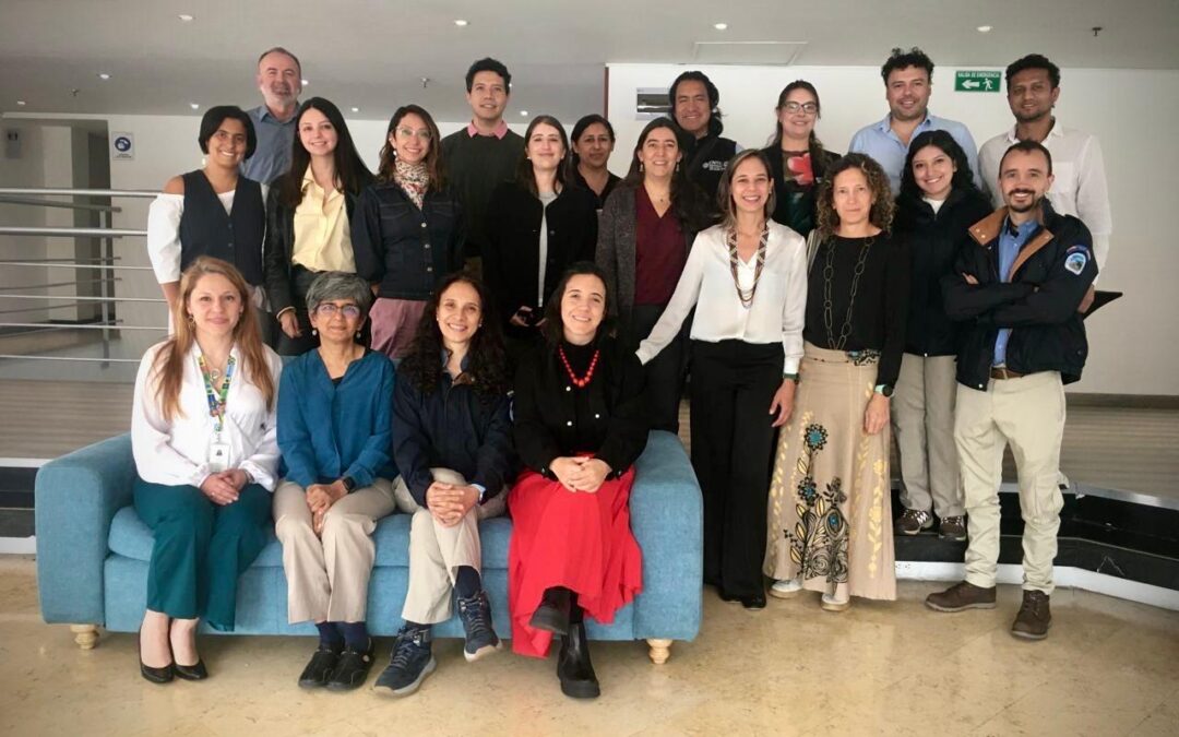 La Meta 3 del Marco Mundial de Biodiversidad (MMB) debe construirse desde un enfoque de derechos territoriales de los Pueblos Indígenas