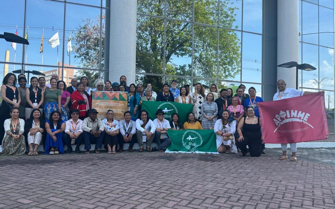 Participación de la CNTI en el Taller Internacional sobre Territorios Indígenas y la Conservación de la Biodiversidad – Manaos, Brasil