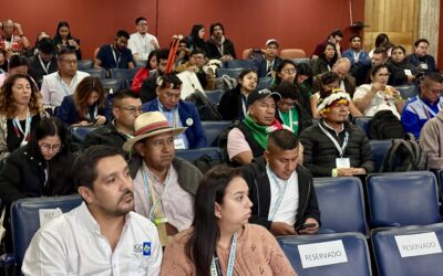 Pueblos indígenas del Sur y Centroamérica se reúnen en Colombia para fortalecer el uso del SIG-I en la defensa de los territorios