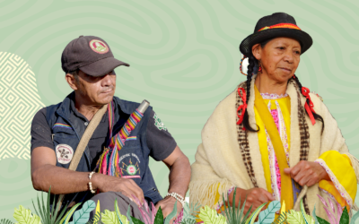 Incidencia de la CNTI en el proceso de constitución del resguardo Komuya Amena, del Pueblo Murui Muina