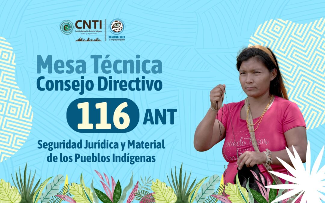 Incidencia de la CNTI en los procesos de ampliaciones de resguardos indígenas en la mesa técnica y consejo directivo 116 de la ANT