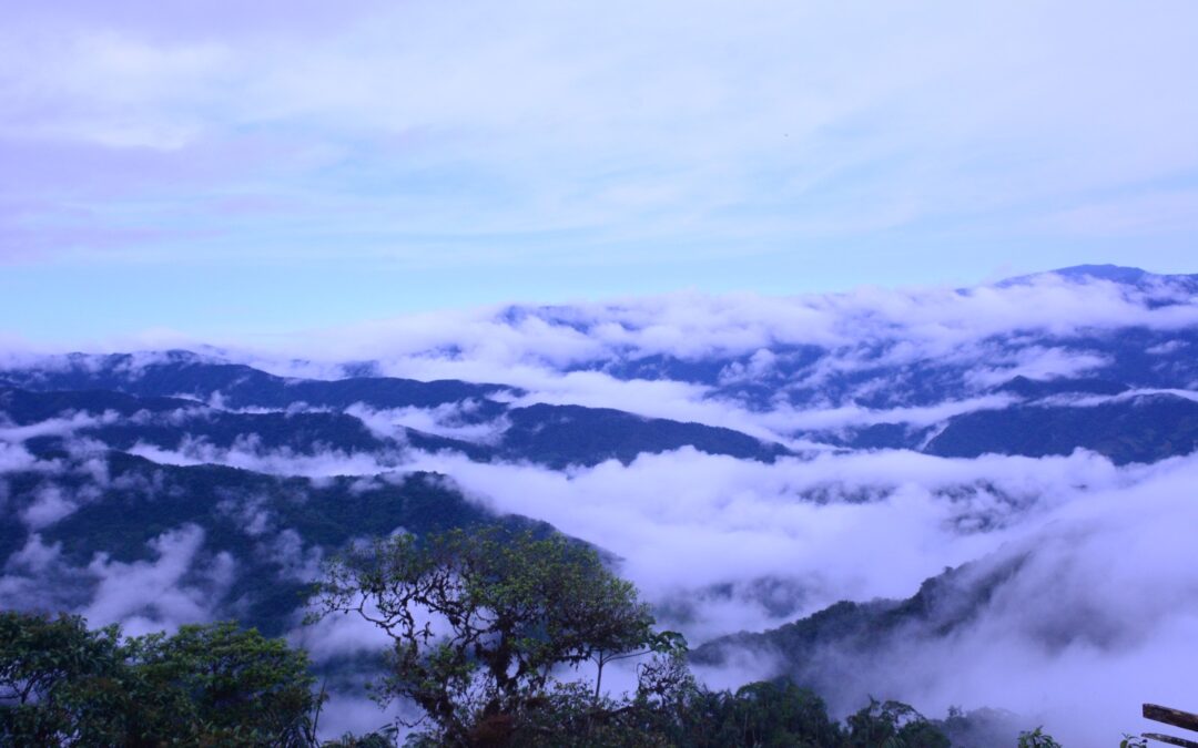 24 de octubre Día Internacional contra el cambio climático