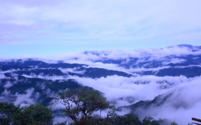 24 de octubre Día Internacional contra el cambio climático