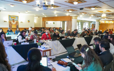 Ausencias institucionales y deudas históricas: desafíos en la protección y seguridad jurídica de los territorios indígenas