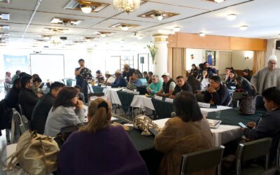 Comunicado a la opinión pública por la dignidad y respeto de los pueblos indígenas de Colombia