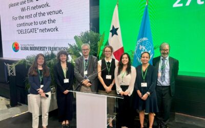 La CNTI destaca la importancia de los derechos territoriales indígenas en el monitoreo del Marco Mundial de Biodiversidad de Kunming-Montreal