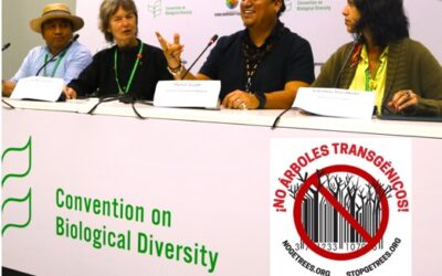Pueblos Indígenas defienden la moratoria del CDB sobre árboles genéticamente modificados: la biodiversidad no se negocia