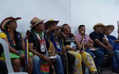 Comunicado a la opinón pública sobre retroceso en derechos indígenas tras exclusión del Capítulo Étnico en la ONU